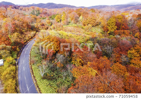 Yunohama Pass after the rain Autumn leaves drone photography Kurihara City, Miyagi Prefecture 71059458