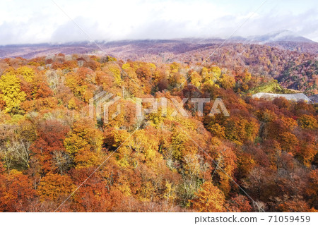 Yunohama Pass after the rain Autumn leaves drone photography Kurihara City, Miyagi Prefecture 71059459