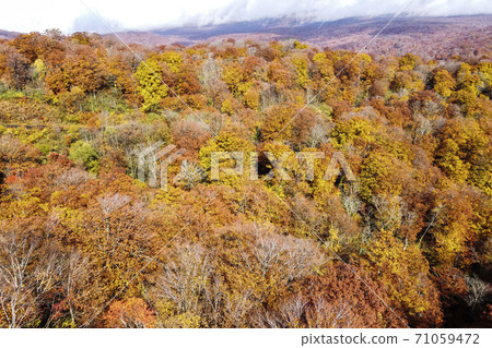 Yunohama Pass after the rain Autumn leaves drone photography Kurihara City, Miyagi Prefecture Yunohama Pass after the rain Autumn leaves drone photography Kurihara City, Miyagi Prefecture 71059472