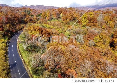 雨後的湯濱Pass口秋葉無人機拍攝宮城縣栗原市 71059473