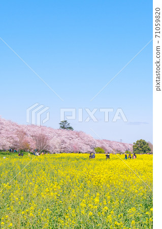 Gyodo神社 71059820