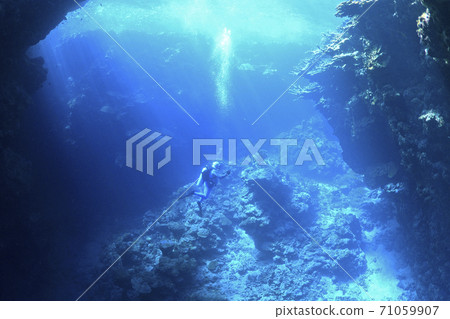 Male scuba diver in underwater cavern 71059907