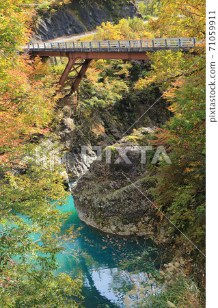 朝日大橋秋山鄉的秋天 71059911