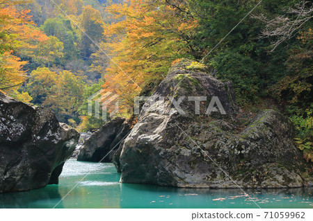 Autumn in Akiyamago Nakatsugawa Valley under the Sarutobi Bridge Autumn in Akiyamago Nakatsugawa Valley under the Sarutobi Bridge 71059962