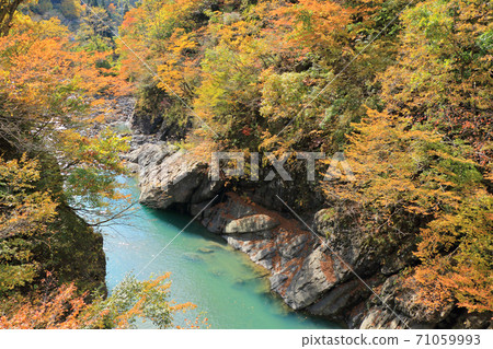 Autumn in Akiyamago Nakatsugawa Valley overlooking from Saruhi Bridge 71059993