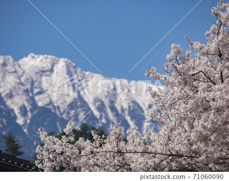 Sayaka Yamakuchi 71060090