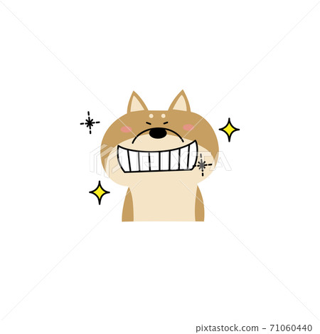 芝狗與閃閃發光的牙齒 芝狗與閃閃發光的牙齒 71060440