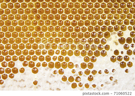 Fresh bee honey in combs. natural food background texture 71060522