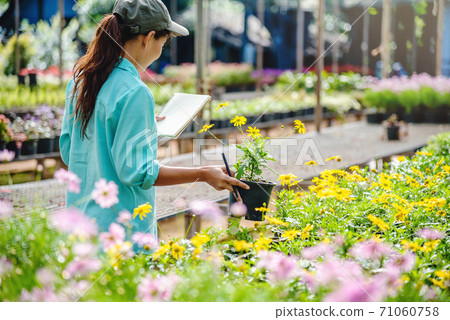 Young women working at the flower garden are studying and writing records of the changes of flower trees. Flower garden background Young women working at the flower garden are studying and writing records of the changes of flower trees. Flower garden background 71060758