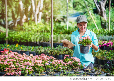 Happy young woman working in a greenhouse, writing notes and studying the growth of trees. Happy young woman working in a greenhouse, writing notes and studying the growth of trees. 71060759