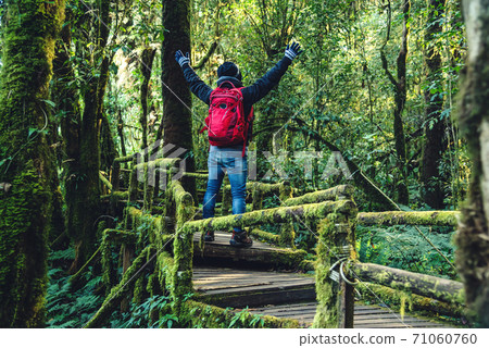 Young men travel to study nature in the rainforest. Walking on a bridge with many mosses and beautiful Young men travel to study nature in the rainforest. Walking on a bridge with many mosses and beautiful 71060760