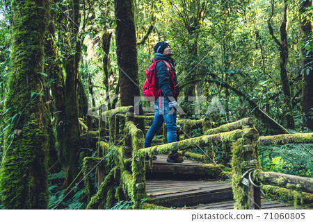 Young men travel to study nature in the rainforest. Walking on a bridge with many mosses and beautiful Young men travel to study nature in the rainforest. Walking on a bridge with many mosses and beautiful 71060805