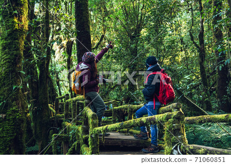 Couples traveling, relax in winter. walking travel to study nature in the rainforest. at the angka, Chiangmai in Thailand. 71060851