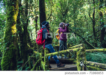 Couples traveling, relax in winter. walking travel to study nature in the rainforest. at the angka, Chiangmai in Thailand. Couples traveling, relax in winter. walking travel to study nature in the rainforest. at the angka, Chiangmai in Thailand. 71060853