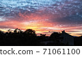 夕陽冷 71061100