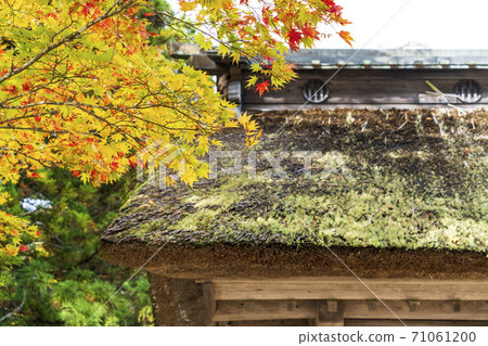 Autumn leaves at the site of Hanayama Village Kanyu Bansho in the Sendai Clan, Kurihara City, Miyagi Prefecture Autumn leaves at the site of Hanayama Village Kanyu Bansho in the Sendai Clan, Kurihara City, Miyagi Prefecture 71061200