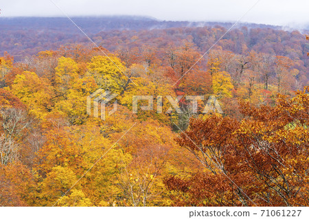 Yunohama Pass after the rain Autumn leaves and Mt. Kurikoma, Kurihara City, Miyagi Prefecture Yunohama Pass after the rain Autumn leaves and Mt. Kurikoma, Kurihara City, Miyagi Prefecture 71061227