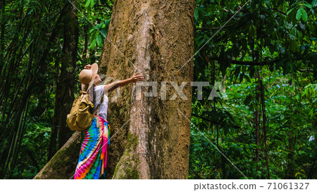 A girl with a backpack is embracing a big tree. enjoying  travel nature in the forest Lush green trees. In the summer, Travel relax, Travel Thailand, tourist, countryside, outdoor, rain forest. 71061327