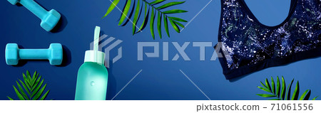 Fitness theme with dumbbells and sports bra Fitness theme with dumbbells and sports bra 71061556