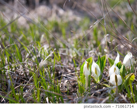 McMonk Baths Mizuhara Water Basho 71061714