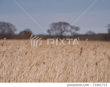 McMonk Baths Mizuhara Water Basho McMonk Baths Mizuhara Water Basho 71061715