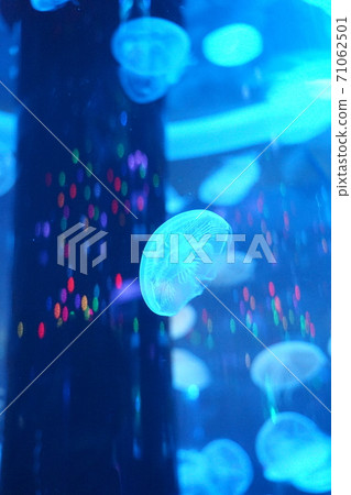 Aquarium Aquarium 71062501