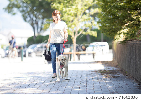 一隻狗的散步 71062830