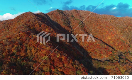 Nikko autumn leaves 71063020