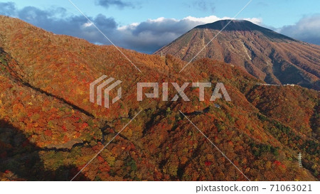 Nikko autumn leaves 71063021