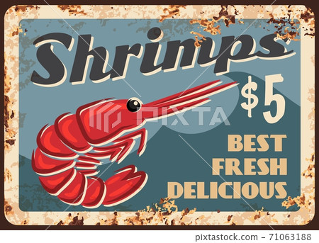 Shrimps meat, fresh seafood vector retro banner Shrimps meat, fresh seafood vector retro banner 71063188