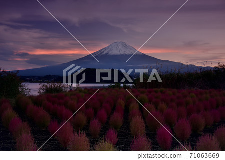 Lake Kawaguchi in autumn with Mt. Fuji and Kokia Lake Kawaguchi in autumn with Mt. Fuji and Kokia 71063669