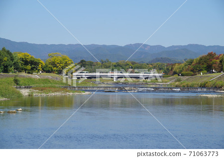 鴨川/鴨橋 71063773