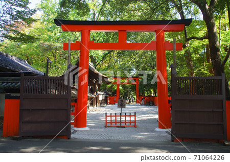 Kawai Shrine's Akatorii Kawai Shrine's Akatorii 71064226