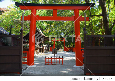 河合神社的Akatorii 河合神社的Akatorii 71064227