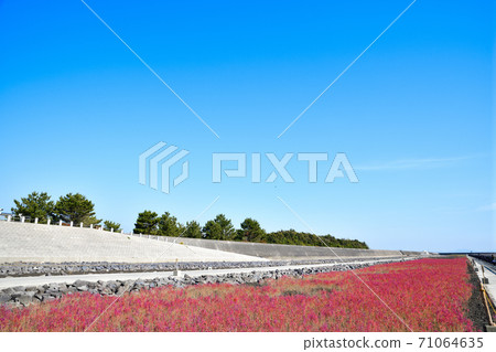 Saga City East Yoka Tidal Flat Saga City East Yoka Tidal Flat 71064635