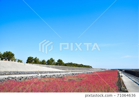 Saga City East Yoka Tidal Flat Saga City East Yoka Tidal Flat 71064636
