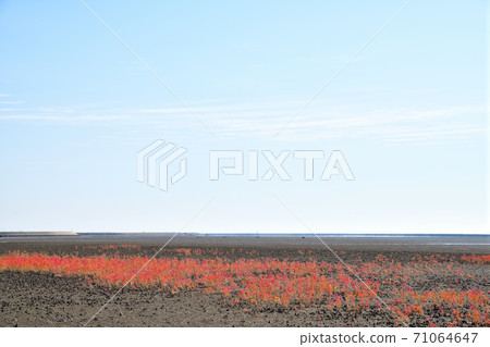 佐賀市東洋嘉潮灘 佐賀市東洋嘉潮灘 71064647