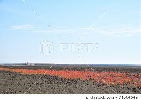 佐賀市東洋嘉潮灘 71064649