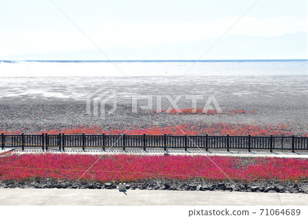 Saga City East Yoka Tidal Flat Saga City East Yoka Tidal Flat 71064689