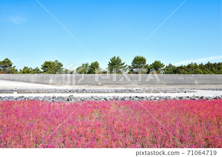 Saga City East Yoka Tidal Flat Saga City East Yoka Tidal Flat 71064719