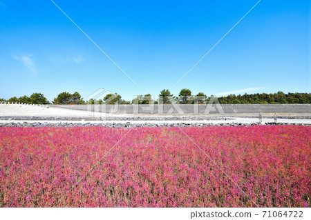 佐賀市東洋嘉潮灘 71064722