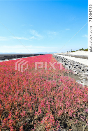 Saga City East Yoka Tidal Flat 71064726