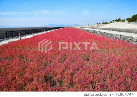 Saga City East Yoka Tidal Flat 71064744