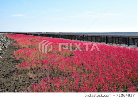 佐賀市東洋嘉潮灘 71064937