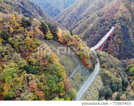 Oku Chichibu autumn leaves 71065403