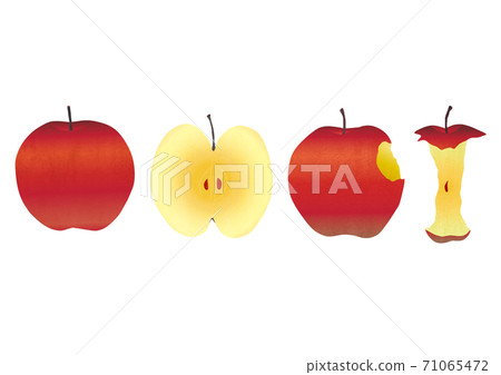 各種蘋果的素材插圖 71065472
