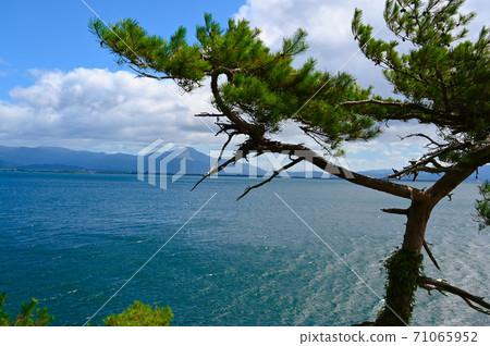 琵琶湖武生島龍宮的風景 71065952