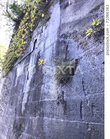走在採石場的路上 走在採石場的路上 71066363