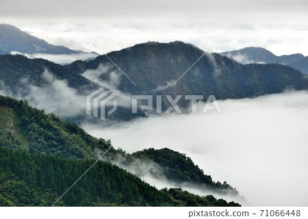 Mountain scenery-Daxueshan National Forest Recreation Area, Taiwan 71066448