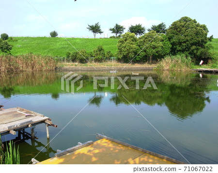 Unmanned midsummer hot summer fishing moat scenery Unmanned midsummer hot summer fishing moat scenery 71067022